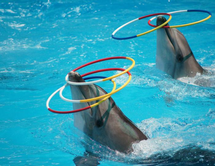 Развлечения в п.Небуг - Отель «Прометей Небуг»