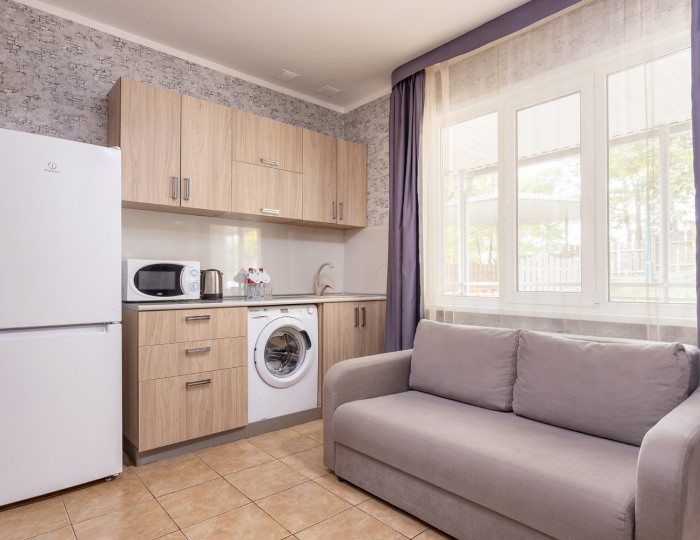 Апартаменты 2-местный 1-комнатный - Отель «Прометей Небуг»