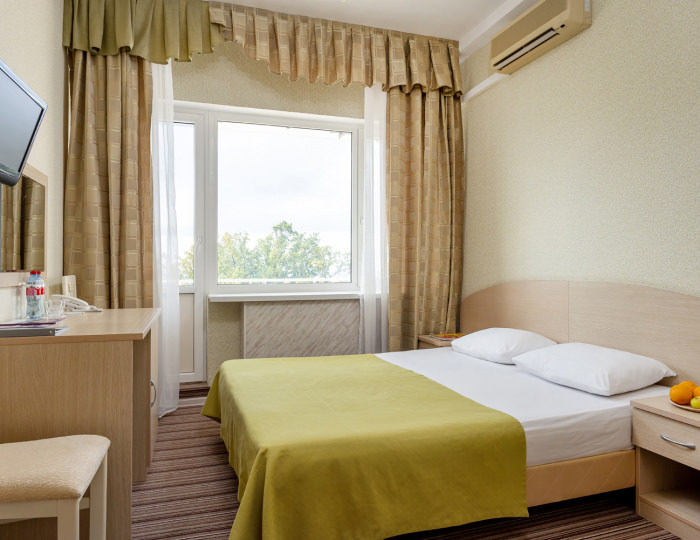 Стандартный 2-местный 1-комнатный (парк) DBL - Отель «Прометей Небуг»